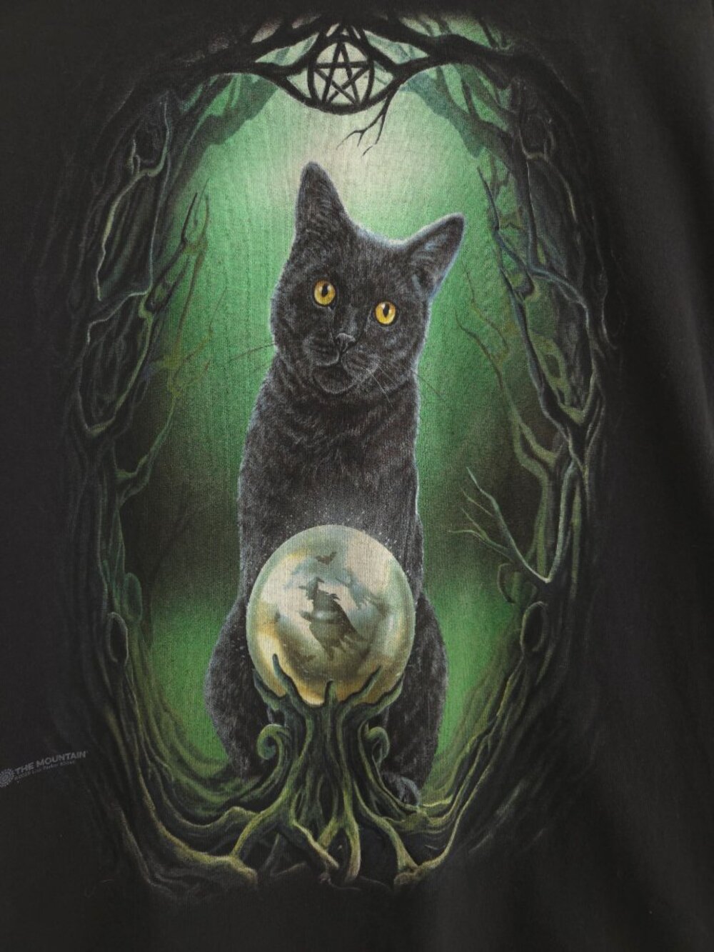 The Mountain Witchy Cat Crystal Ball Halloween Graphic Tee - Picture 2 of 6
